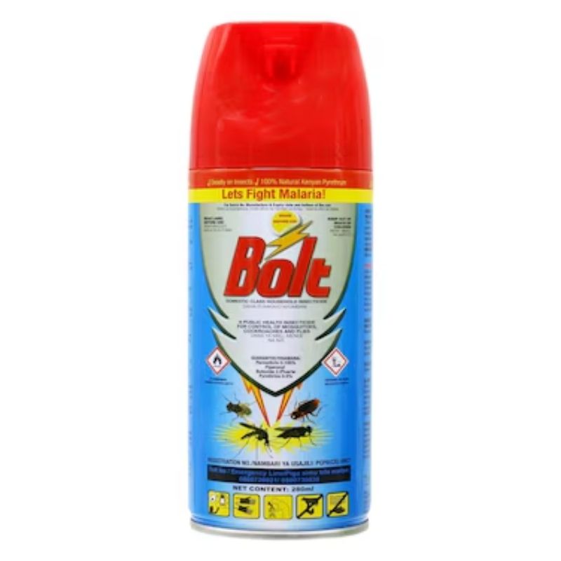 Bolt Insect Killer Odourless 280ml
